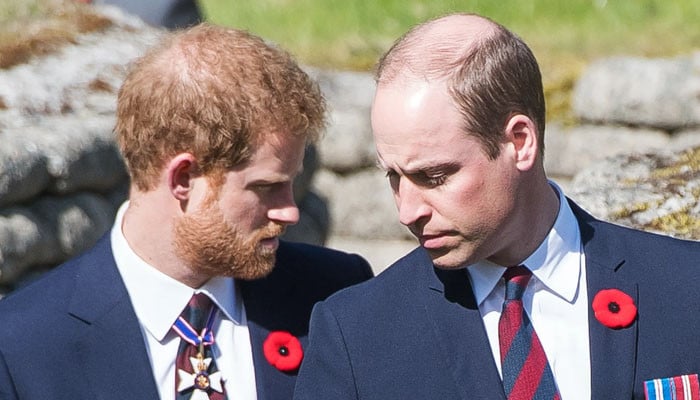 Принц Гарри утверждает, что «бесчувственный» Уильям издевался над ним из-за приступов паники