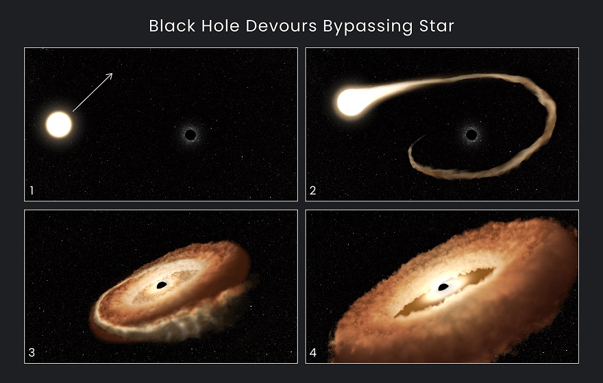 This sequence of artist’s illustrations shows how a black hole can devour a bypassing star. 1. A normal star passes near a supermassive black hole in the center of a galaxy. 2. The star’s outer gasses are pulled into the black hole’s gravitational field. 3. The star is shredded as tidal forces pull it apart. 4. The stellar remnants are pulled into a donut-shaped ring around the black hole, and will eventually fall into the black hole, unleashing a tremendous amount of light and high-energy radiation.— NASA, ESA, Leah Hustak (STScI).