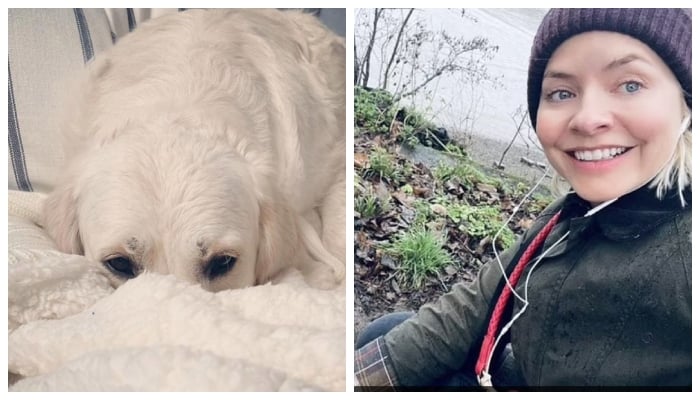 Holly Willoughby all smiles as she takes her dog Bailey for a stroll