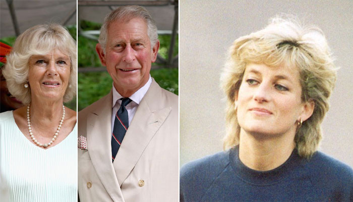 Prince Harry says Diana ‘tried stopping’ King Charles, Camilla’s wedding