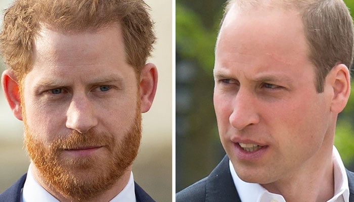 Prince Harry recently said his relationship with Prince William would benefit if they used drugs together