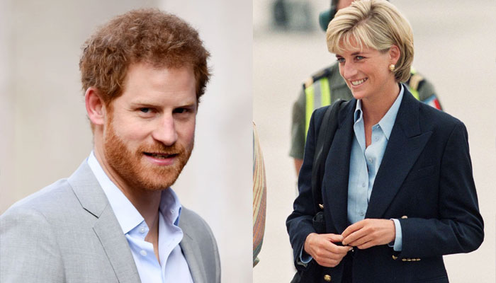 Princess Diana therapist talks about setting ‘boundaries’ amid Prince Harry book