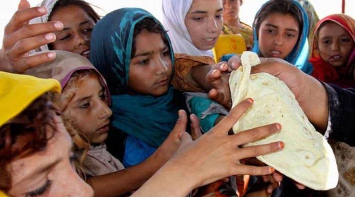 Pakistan's vulnerability to food security