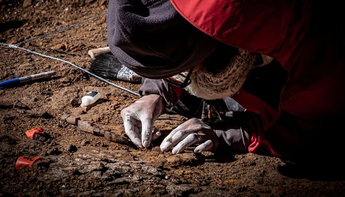 A man works at the area where scientists discovered megaraptor fossils at Guido hill in the Chilean Patagonia area. — Reuters