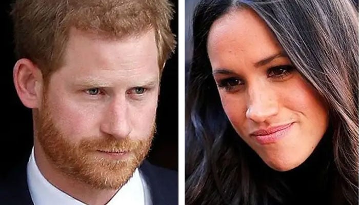 Prince Harry, Meghan Markle 'burning their careers alive' - Vimarsana News