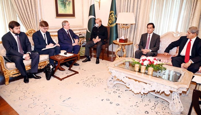 A Russian delegation headed by Minister of Energy Shulginov Nikolay call on Prime Minister Shehbaz Sharif in Lahore on January 19, 2023. — PID