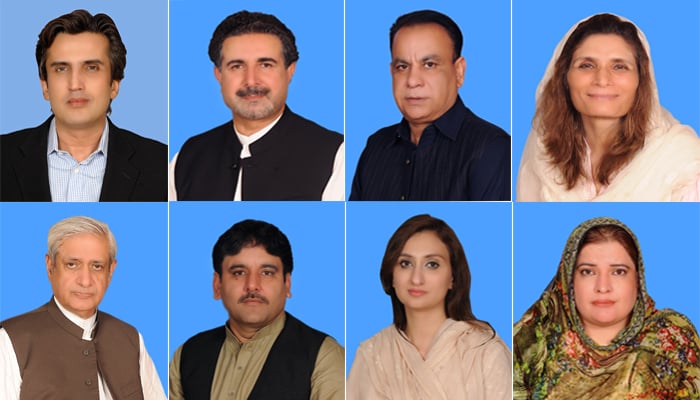 (Left to right) PTI MNAs Khusro Bakhtiar, Haider Ali Khan, Khurrum Sheehzad, Andleeb Abbas, Fakhar Imam, Abdul Majeed Khan, Maleeka Bukhari, Munawara Bibi Baloch. — National Assembly of Pakistan website