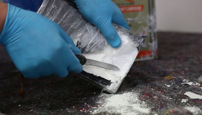 In this Reuters file photo, a detail of cocaine can be seen.