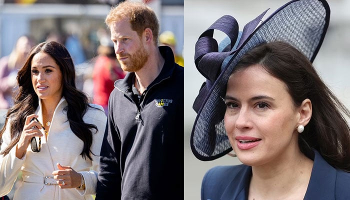 Lady Sophie Winkleman reacts to royal family display of bravery amid Spare