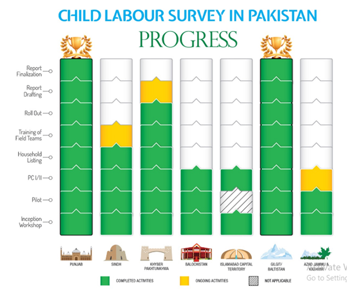 — Child Labour Survey Graph