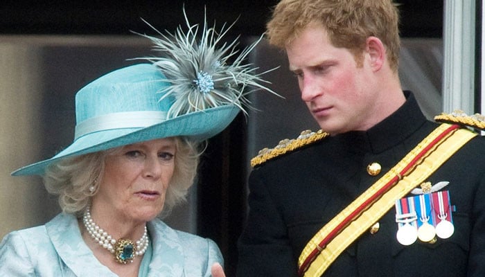 Prince Harry recalls first official meeting with 'Other Woman' Camilla - Vimarsana News
