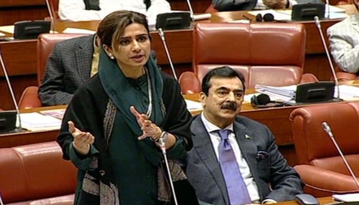 Minister of State on Foreign Affairs Hina Rabbani Khar speaking during Senate session. — Radio Pakistan/File