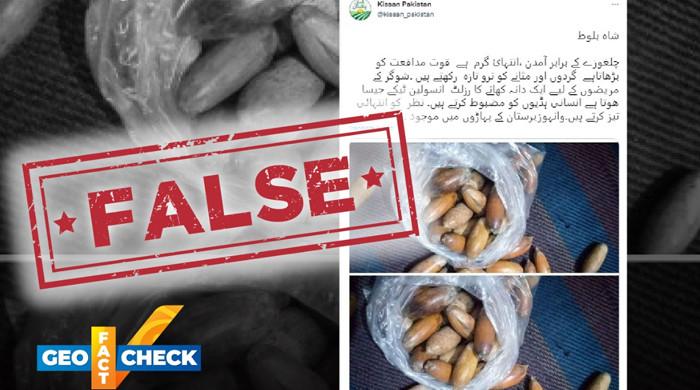 Fact-check: No, local chestnuts are not a substitute for insulin injections