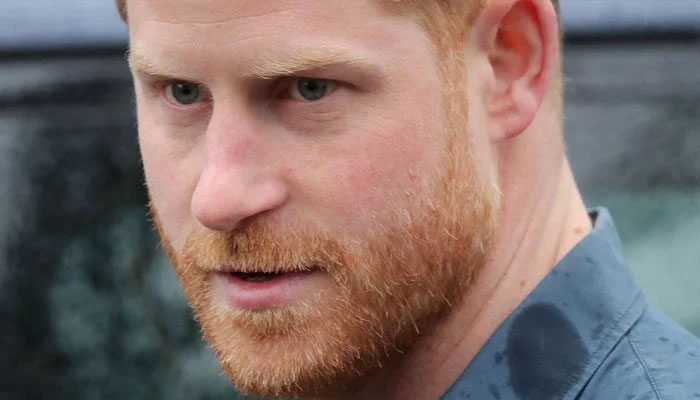 Biggest villain Prince Harry's face is a 'paintball target'