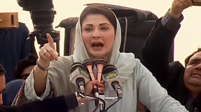 In first address after landing, Maryam Nawaz says PML-N not 'scared' of elections