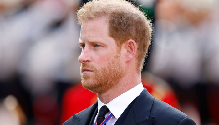 Prince Harry ‘Spare’ in another controversy thanks to artist Jake Chapman