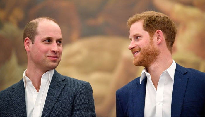 Prince William snubs call of Prince Harry for talks amid reports of peace deal