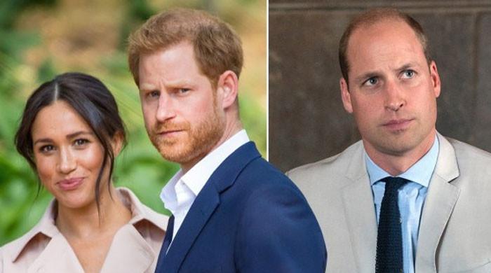 'Meghan Markle and America have changed Prince Harry'