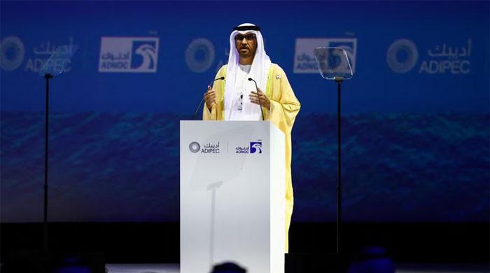 Fight climate change without slowing growth: UAE COP28 chief