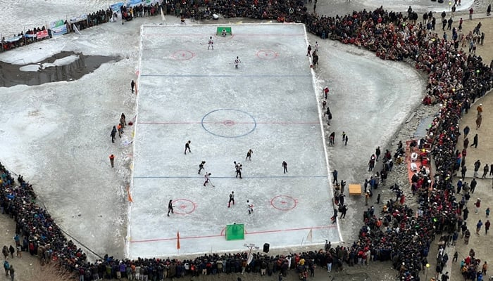 People playing ice hockey. — Canadian High Commission