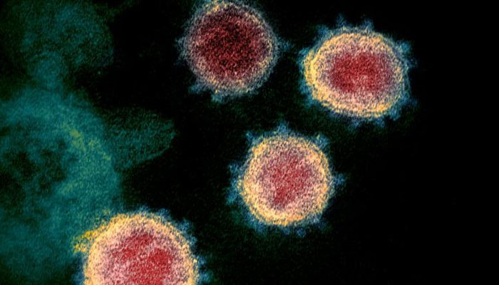 یہ نامعلوم ٹرانسمیشن الیکٹران مائکروسکوپ امیج SARS-CoV-2، جسے ناول کورونا وائرس بھی کہا جاتا ہے، امریکہ میں ایک مریض سے الگ تھلگ دکھاتا ہے۔  - رائٹرز/فائل