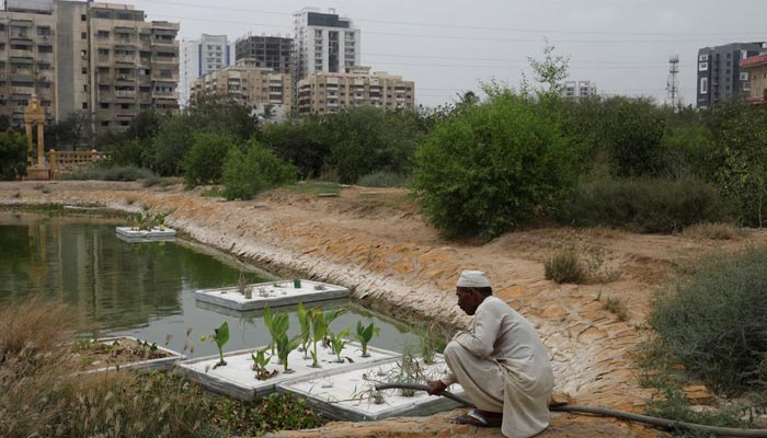 2 جولائی 2022 کو کراچی، پاکستان میں کلفٹن اربن فاریسٹ پراجیکٹ کے آبی ذخائر کے قریب پودے لگاتے ہوئے شہری جنگلات کے شجرکاری منصوبے میں ایک کسان، 61 سالہ ملاظم حسین۔ — رائٹرز