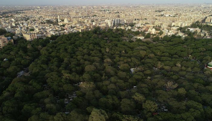An aerial view shows a green patch of Azadirachta Indica trees over a graveyard with the city in the background in Karachi, Pakistan June 6, 2021. — Reuters