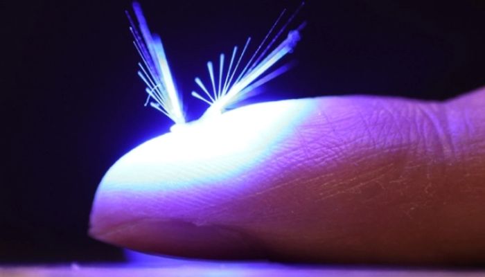 The FAIRY robot on a finger.— Jianfeng Yang/Tampere University