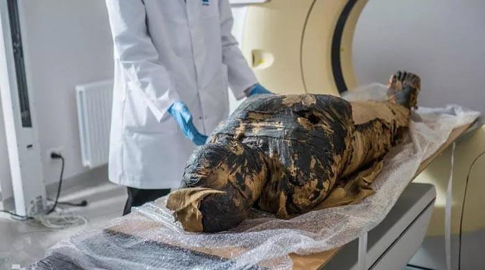 'Surprising' ancient Egyptian mummy ingredients discovered