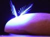 Tiny FAIRY bots that weigh 1.2mg could act as pollinators