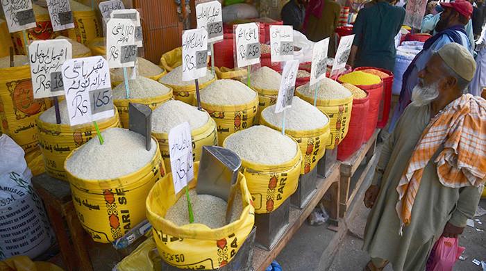 How bad can upcoming IMF-dictated mini budget be for Pakistan? 