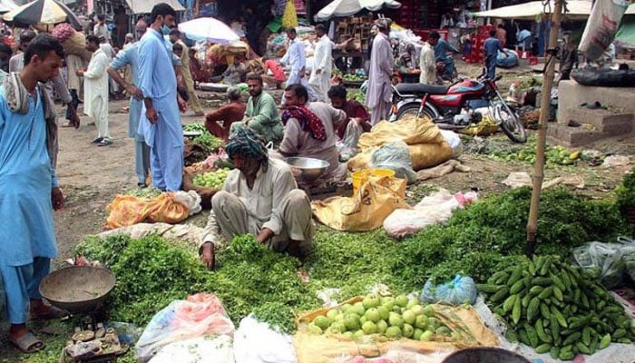 A vendor, busy sorting his fresh vegetables while selling to customers at a vegetable market in the provincial capital.— APP/File