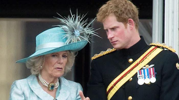 Prince Harry ‘risked’ eye contact with Camilla as he discussed Diana at wedding