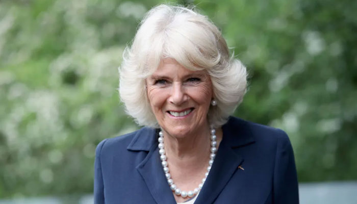 Queen Consort Camilla cancels ‘all public engagements’ after contracting Covid-19