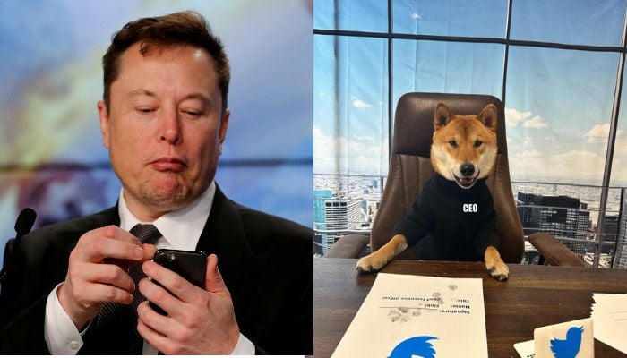 Twitter CEO Elon Musk (l), Musks dog Floki (r).— Reuters, Twitter.@elonmusk