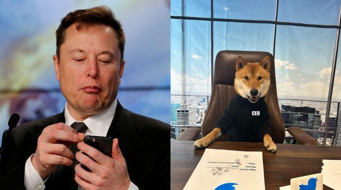 Memecoins soar after Musk names his dog new Twitter CEO
