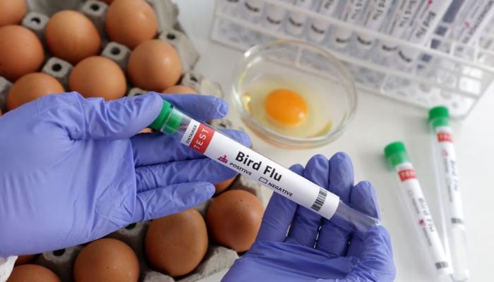 A person holds a test tube labelled Bird Flu next to eggs, in this picture illustration, January 14, 2023.— Reuters