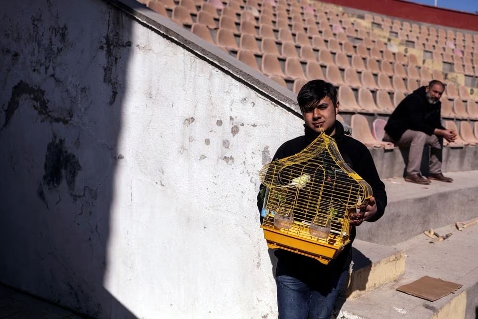 Abdulkerim, 16, from Kahramanmaras, carries his bird into a stadium, which serves as a camp for survivors, in the aftermath of a deadly earthquake in Kahramanmaras, Turkey February 15, 2023.— Reuters