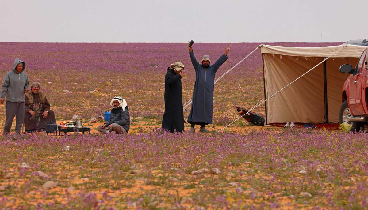 Men gather in a field covered with lavendar-coloured blooms in Rafha town on February 13, 2023. — AFP