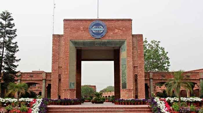 COMSATS lecturer terminated for asking 'immoral question' in English composition exam