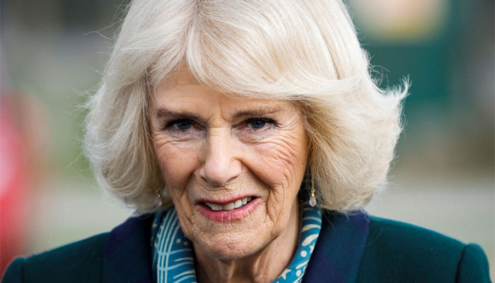 Inside Camilla’s ‘The Queens Reading Room’