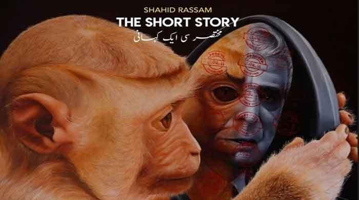 'The Short Story': Critiquing contemporary politics