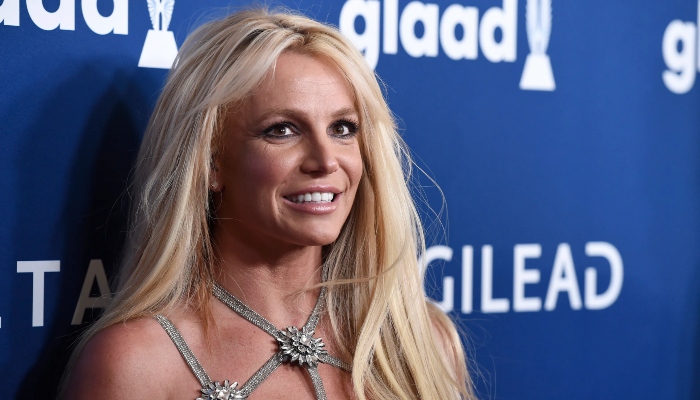 Britney Spears receives stern warning from animal control after her dog escapes
