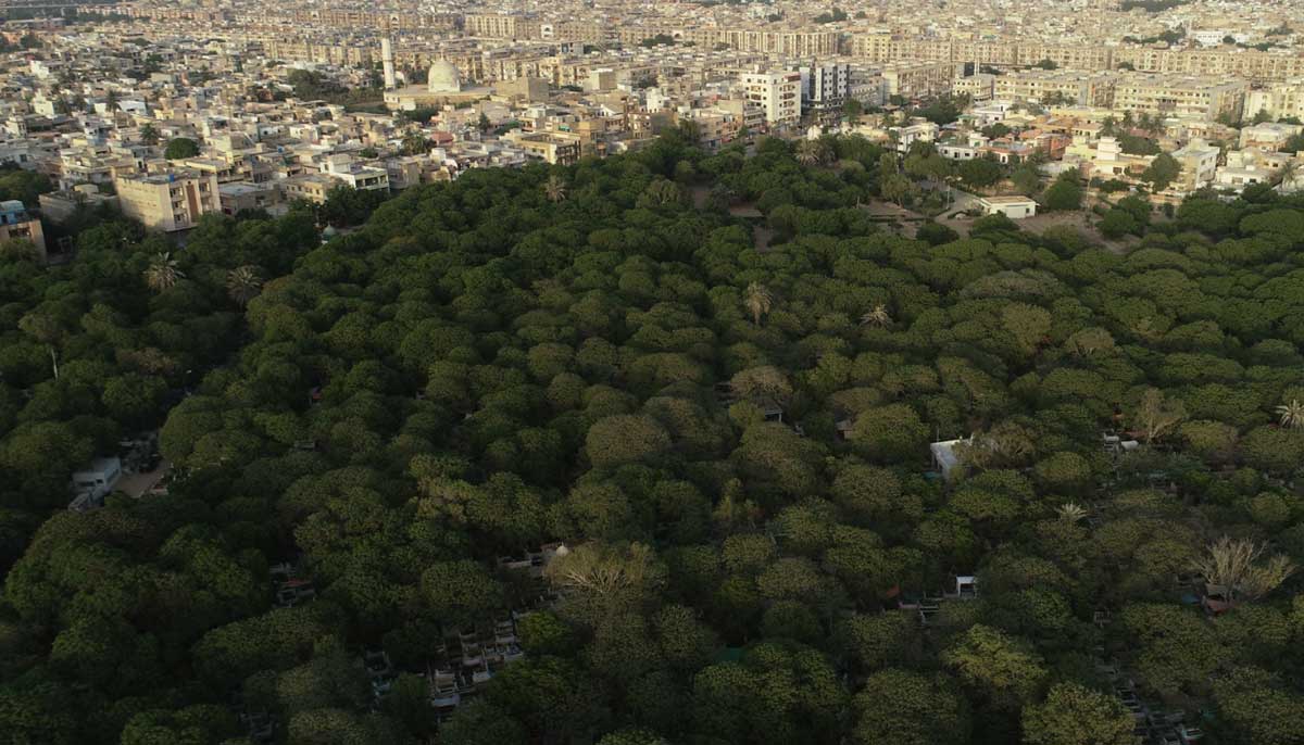 An aerial view shows a green patch of Azadirachta Indica trees over a graveyard with the city in the background in Karachi, on June 6, 2021. Picture taken with a drone. — Reuters