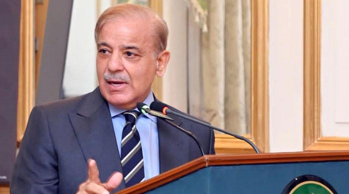 PM Shehbaz directs FO to 'ascertain facts' about migrant Pakistanis drowned in Italy