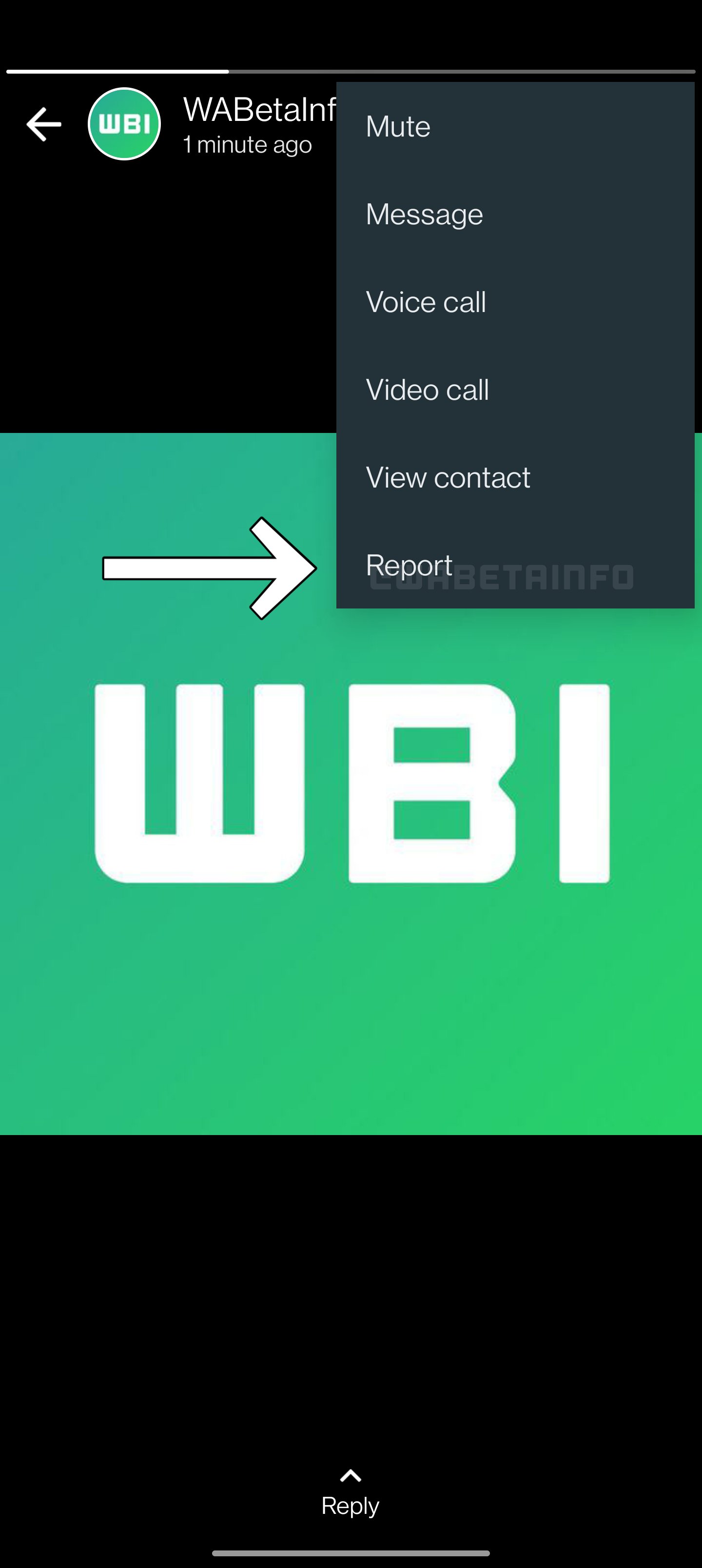 A visual representation of the latest feature.—WABetainfo