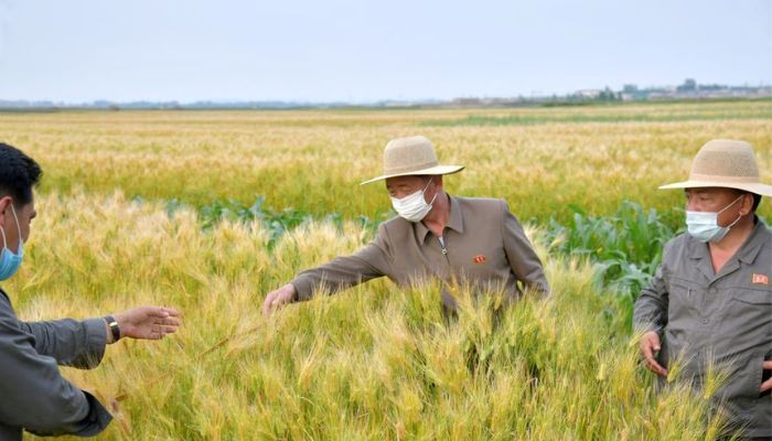 North Koreas Premier Kim Tok Hun inspects co-op farms in South Hwanghae province, North Korea, in this undated photo released on June 8, 2021 by North Koreas Korean Central News Agency (KCNA).— Reuters