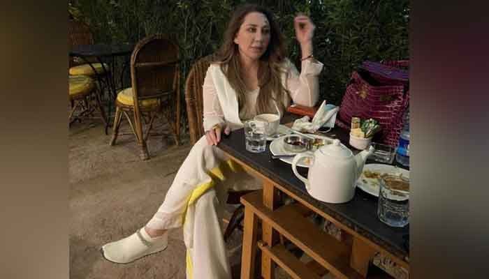 How many foreign companies Farah Gogi and her family own? - Vimarsana News