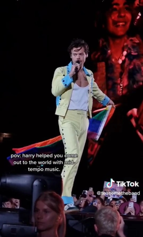 Harry Styles stops concert to help young fan come out to family during Sydney gig