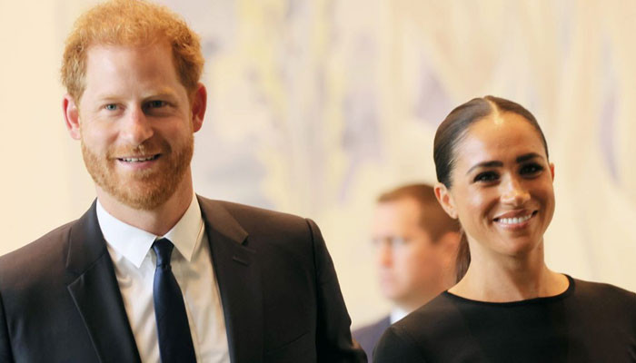Prince Harry became 'prized target' of 'terrorists' before Meghan Markle wedding - Vimarsana News